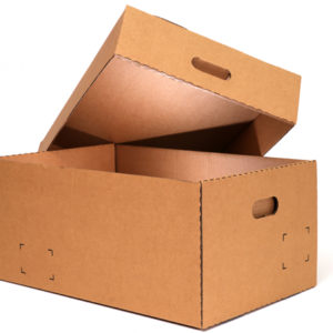 Akshar-Paper-Agency-Top-And-Bottom-Corrugated-Box_01