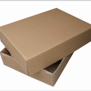 Akshar-Paper-Agency-Top-And-Bottom-Corrugated-Paper-Box